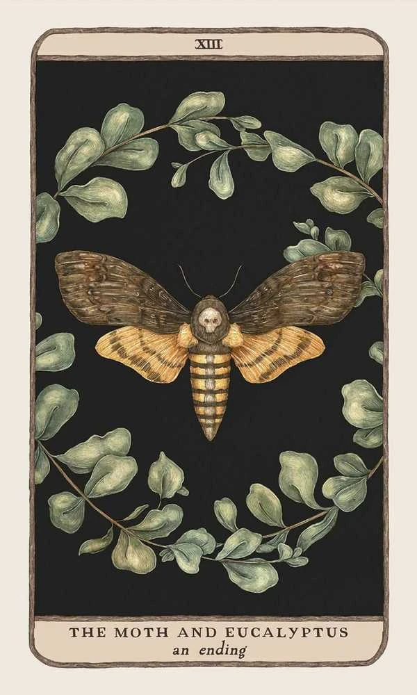KNYGA Andrews Mcmeel Publishing Mcmeel Publishing Woodland Wardens Oracle Kortos Andrews