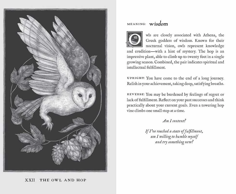KNYGA Andrews Mcmeel Publishing Mcmeel Publishing Woodland Wardens Oracle Kortos Andrews