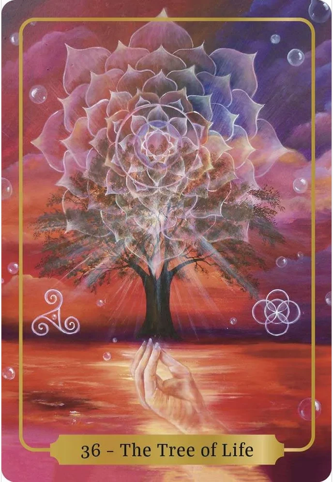Animal Dreaming Sacred Blessings Oracle Kortos