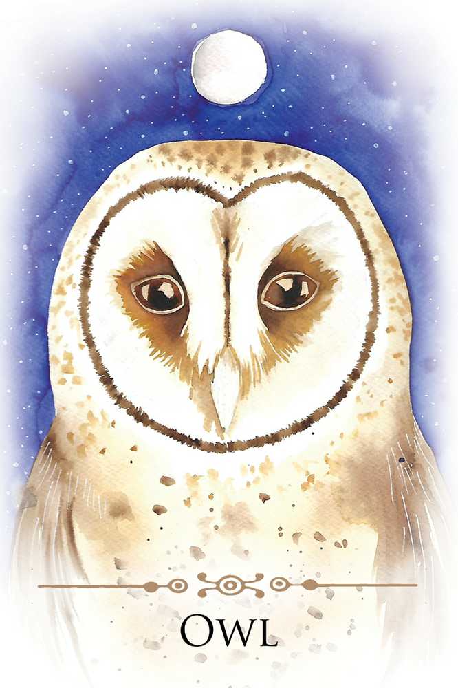 KNYGA Animal Dreaming Spirit Animals Message kortos