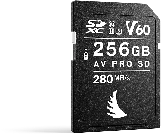 Atminties kortelė Angelbird AV PRO SD MK2 256GB V60