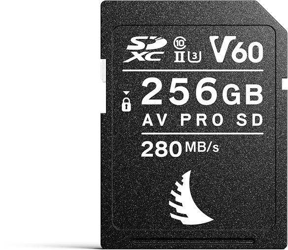 Atminties kortelė Angelbird AV PRO SD MK2 256GB V60
