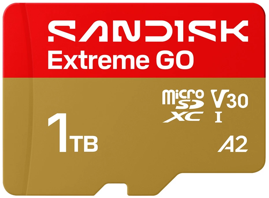 SanDisk Extreme GO 1 TB Micro SDXC UHS-I atminties kortelė