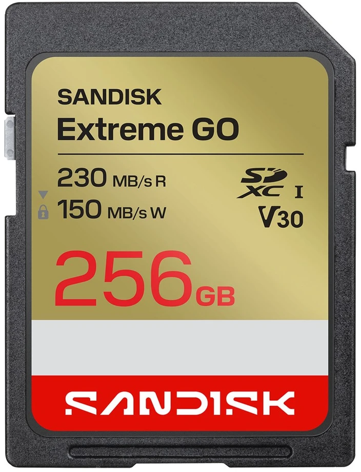 Atminties kortelė SanDisk Extreme GO 256 GB SDXC UHS-I
