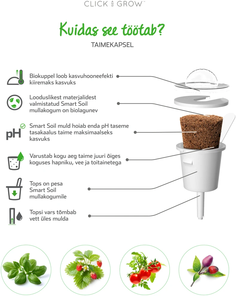Augalų Kapsulė - Click & Grow Violetinė Chili Pepper 3 Vnt.