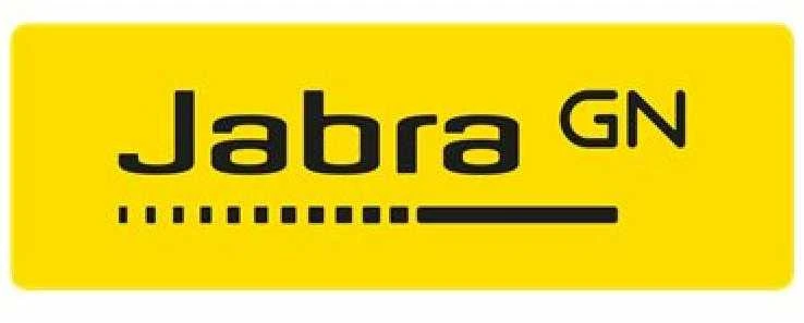 Ausinės - Jabra Evolve 30 II UC Mono (triukšmo slopinimo mikrofonas, odinės pagalvėlės)