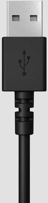 Universalios ausinės Logitech H390, su mikrofonu, USB jungtis