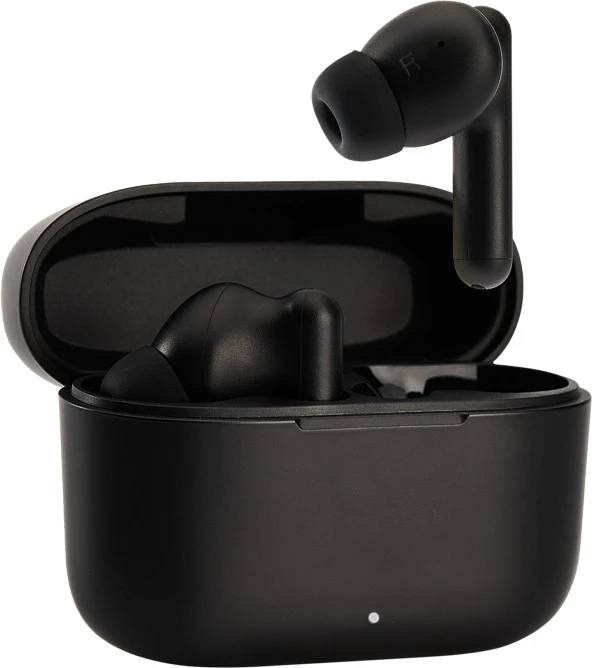 Ausinės - Panasonic RZ-B110WDE-K Juodos