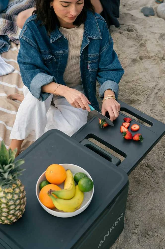 Elektrinis aušintuvas Anker EverFrost Powered Cooler 30 (33l) - A17A03M2