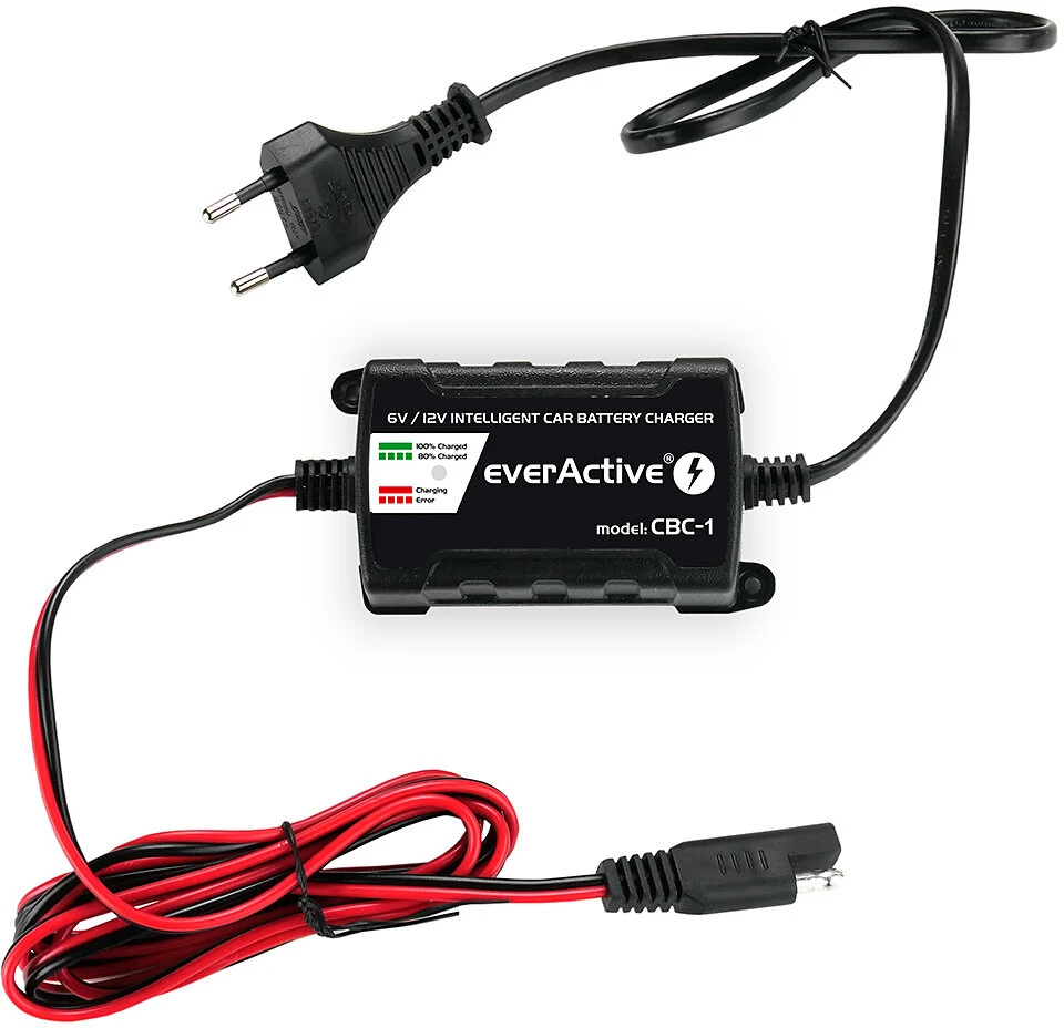 everActive universalus automatinis 6/12V 1000mA akumuliatorių kroviklis