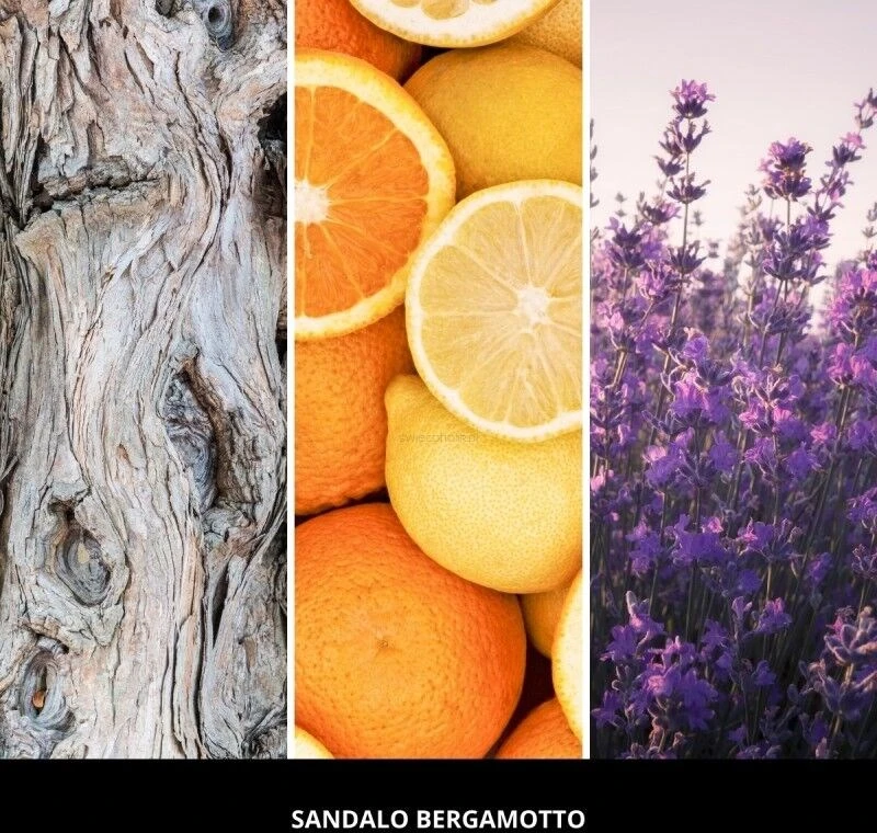 Car Air Freshener Oranžinis SANDALO BERGAMOTTO MILLEFIORI