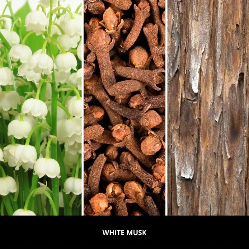 Car air freshener Baltas MUSK MILLEFIORI