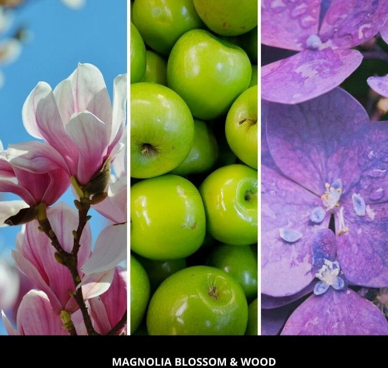 Car Air Freshener Rožinis - MAGNOLIA BLOSSOM & WOOD MILLEFIORI