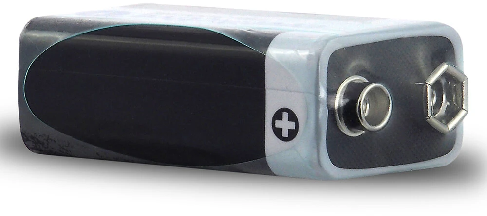 Baterija- everActive Pro Alkaline 6LR61 650 mAh Baterijos, 10 vnt.