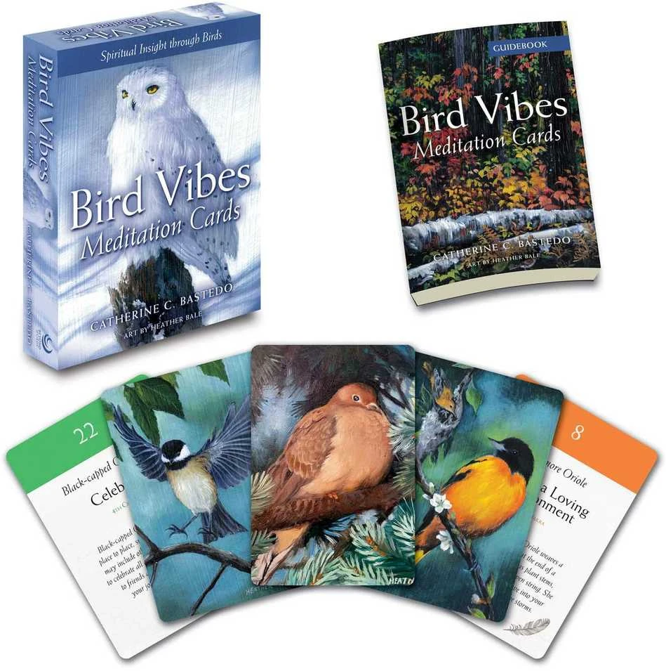 Beyond Words Meditacijos Kortos Bird Vibes Beyond Woords