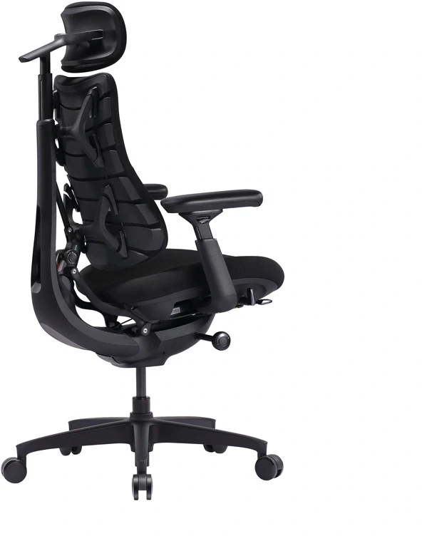 LiberNovo LNOC1-SE 48 cm ergonominė kėdė (juoda)