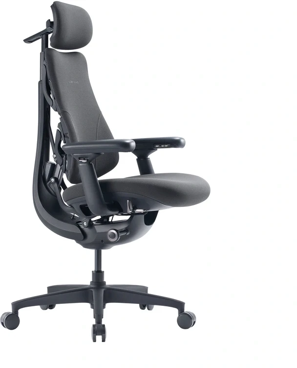 LiberNovo Omni GEN 48 cm ergonominė kėdė (grafito spalvos)