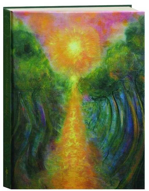 Blue Angel Mėlyna Angel Knyga - Namaste Blessings Toni Carmine Salerno 21.7x16.5 cm 387g Mėlyna Angel