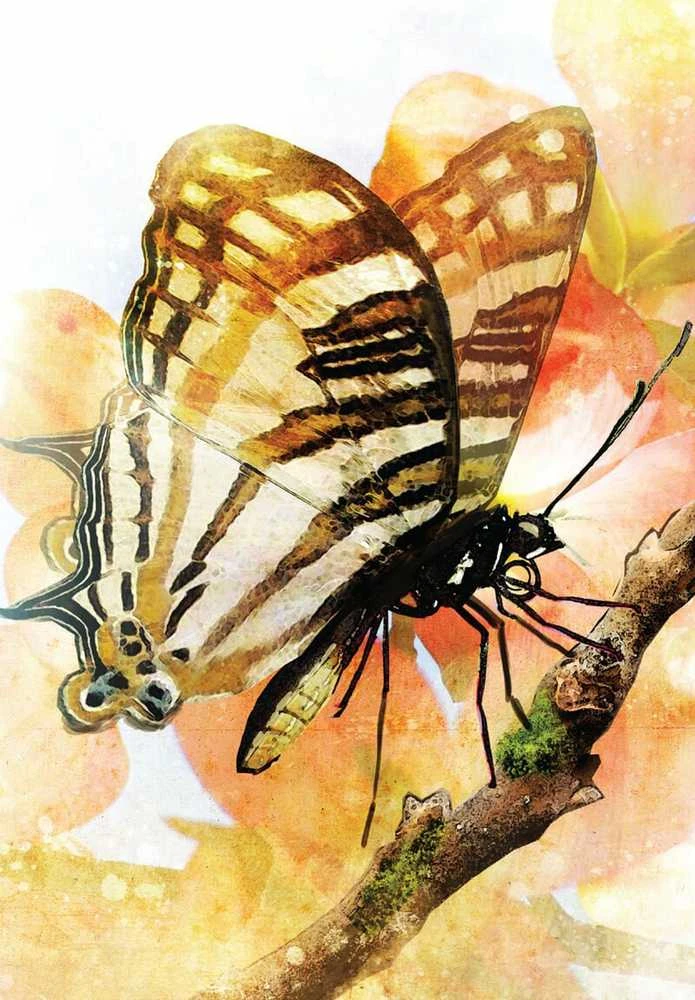 Blue Angel Mėlyna Angel Mėlyna Angel Butterfly Transformations Kortos