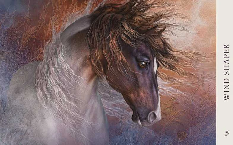 Blue Angel Mėlyna Angel Mėlyna Angel Horse Wisdom Oracle Kortos