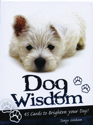 Blue Angel Mėlyna Angel Mėlyna Angel Inspirational Kortos Dog Wisdom