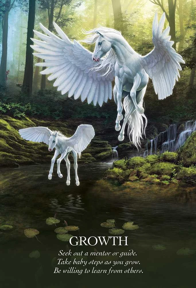 Blue Angel Mėlyna Angel Oracle Of The Unicorns Kortos