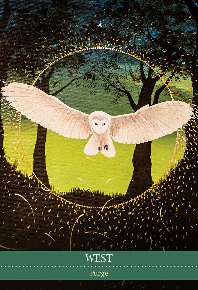 Blue Angel Mėlyna Angel Mėlyna Angel Shamanic Medicine Oracle Kortos