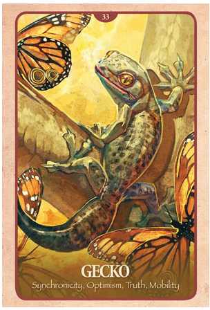 Blue Angel Mėlyna Angel Mėlyna Angel The Secret Language Of Animals Oracle Kortos