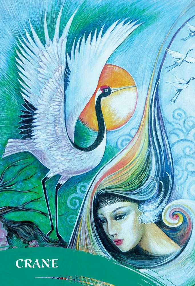 Blue Angel Mėlyna Angel Mėlyna Angel The Zen Of Animals Oracle Kortos