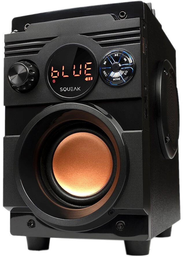 Nešiojama kolonėlė  Squeak  5.1 BassBlaster