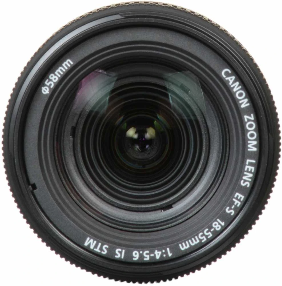 Canon EOS 2000D + EF-S 18-55mm 4-5.6 IS STM