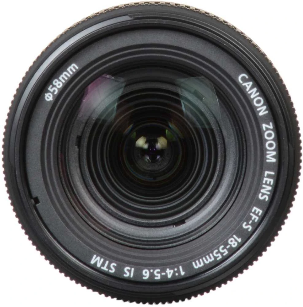 Canon EOS 2000D + EF-S 18-55mm F4-5.6 IS STM + EF 50mm F1.8 STM