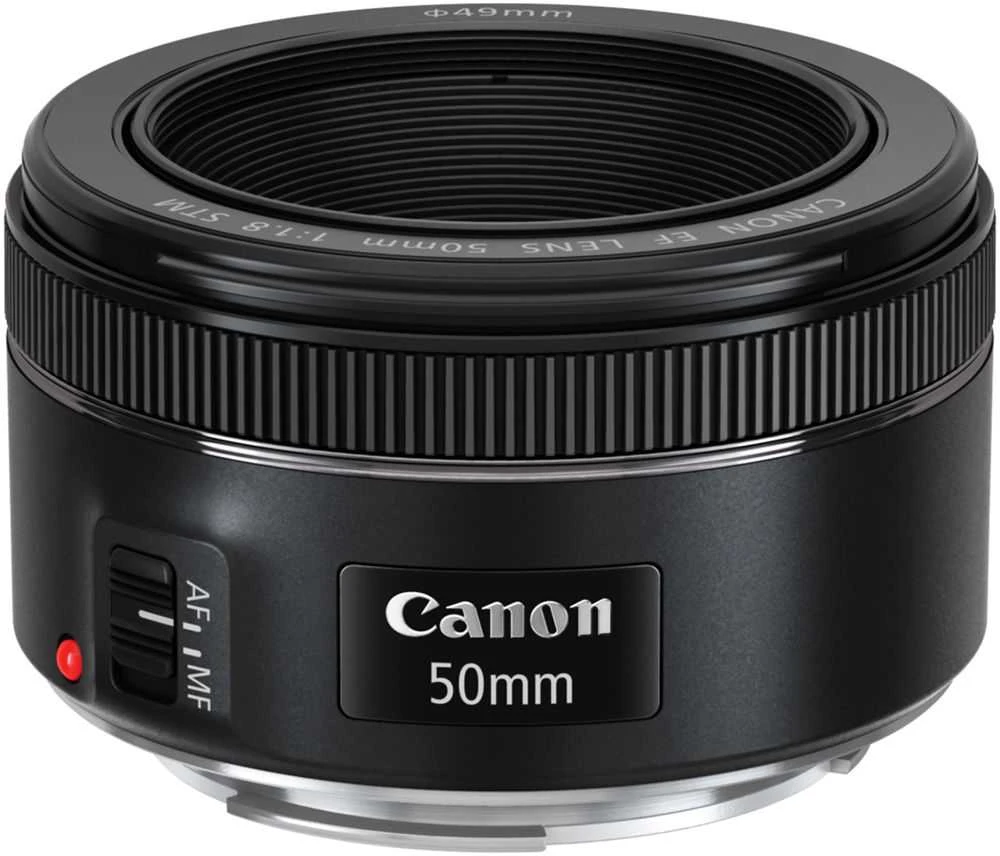 Canon EOS 2000D + EF-S 18-55mm F4-5.6 IS STM + EF 50mm F1.8 STM
