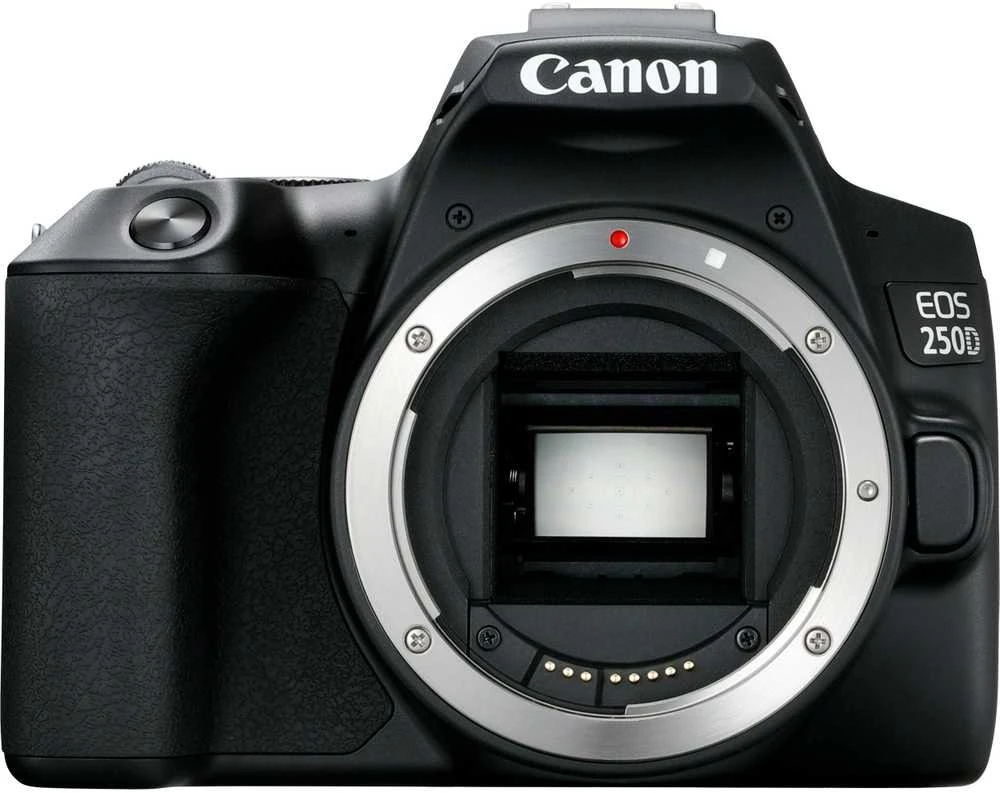 Canon EOS 4000D + EF-S 10-18mm IS STM
