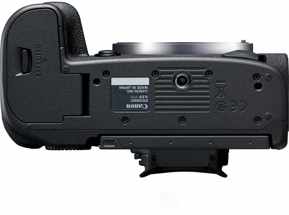 Canon EOS R5 + RF 24-240mm f/4-6.3 IS USM