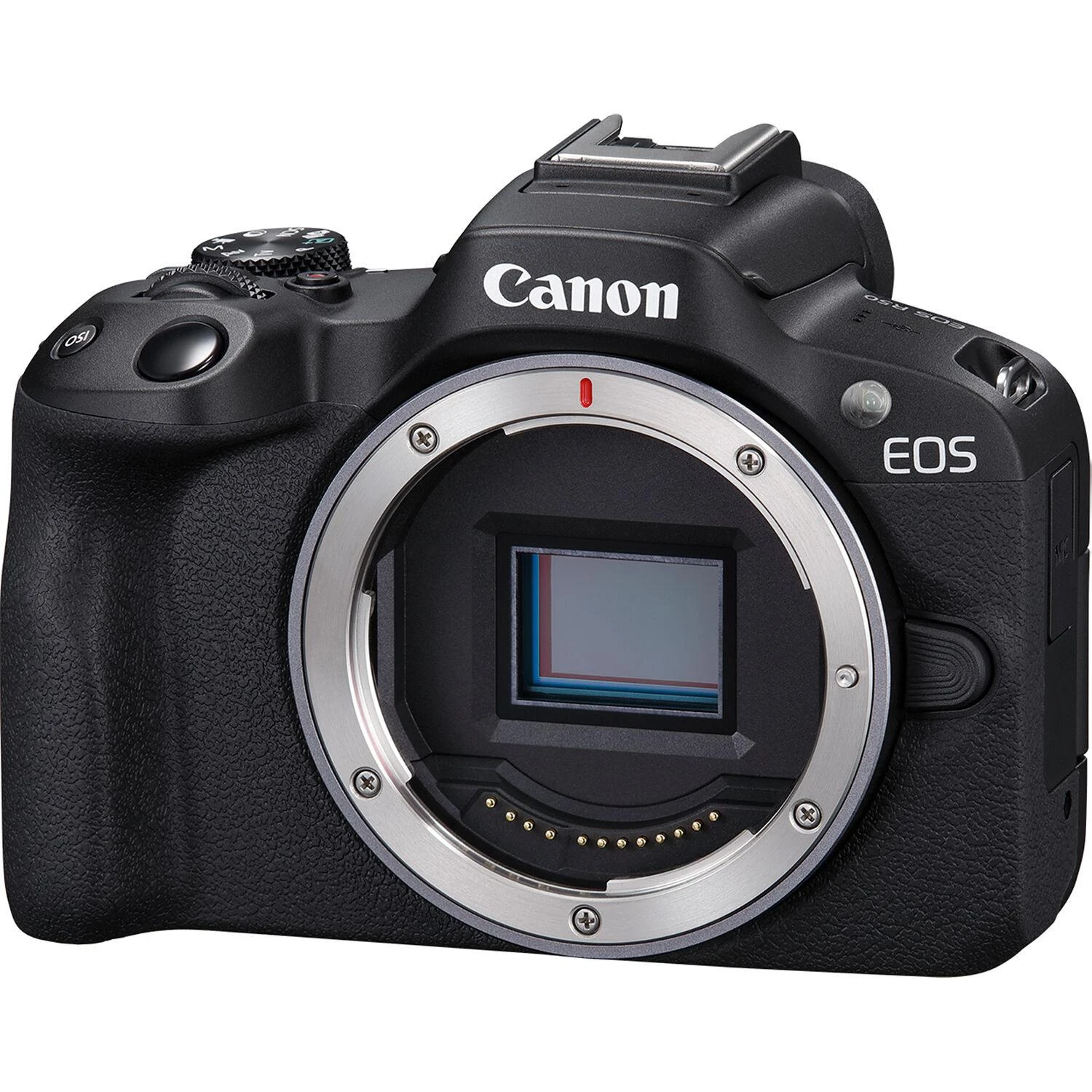 Canon EOS R50 + RF-S 18-45 IS STM + RF-S 55-210MM F5-7.1 IS STM (Juodas)