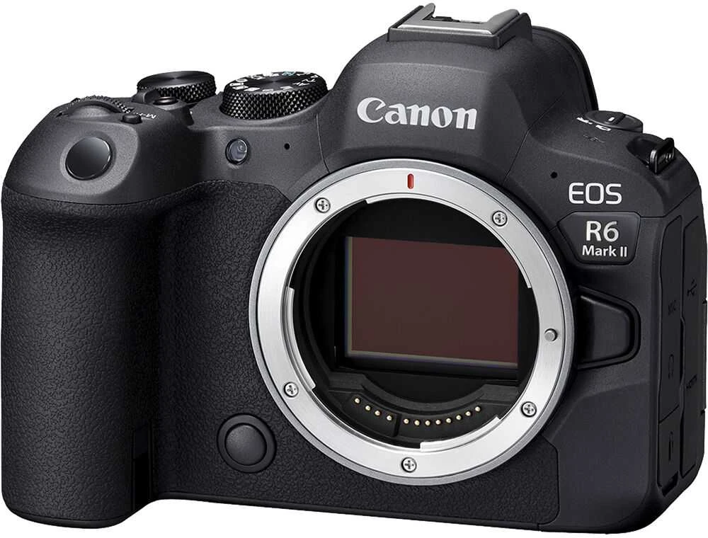 Canon EOS R6 Mark II + RF 24-240mm f/4-6.3 IS USM + Mount Adapteris EF-EOS R
