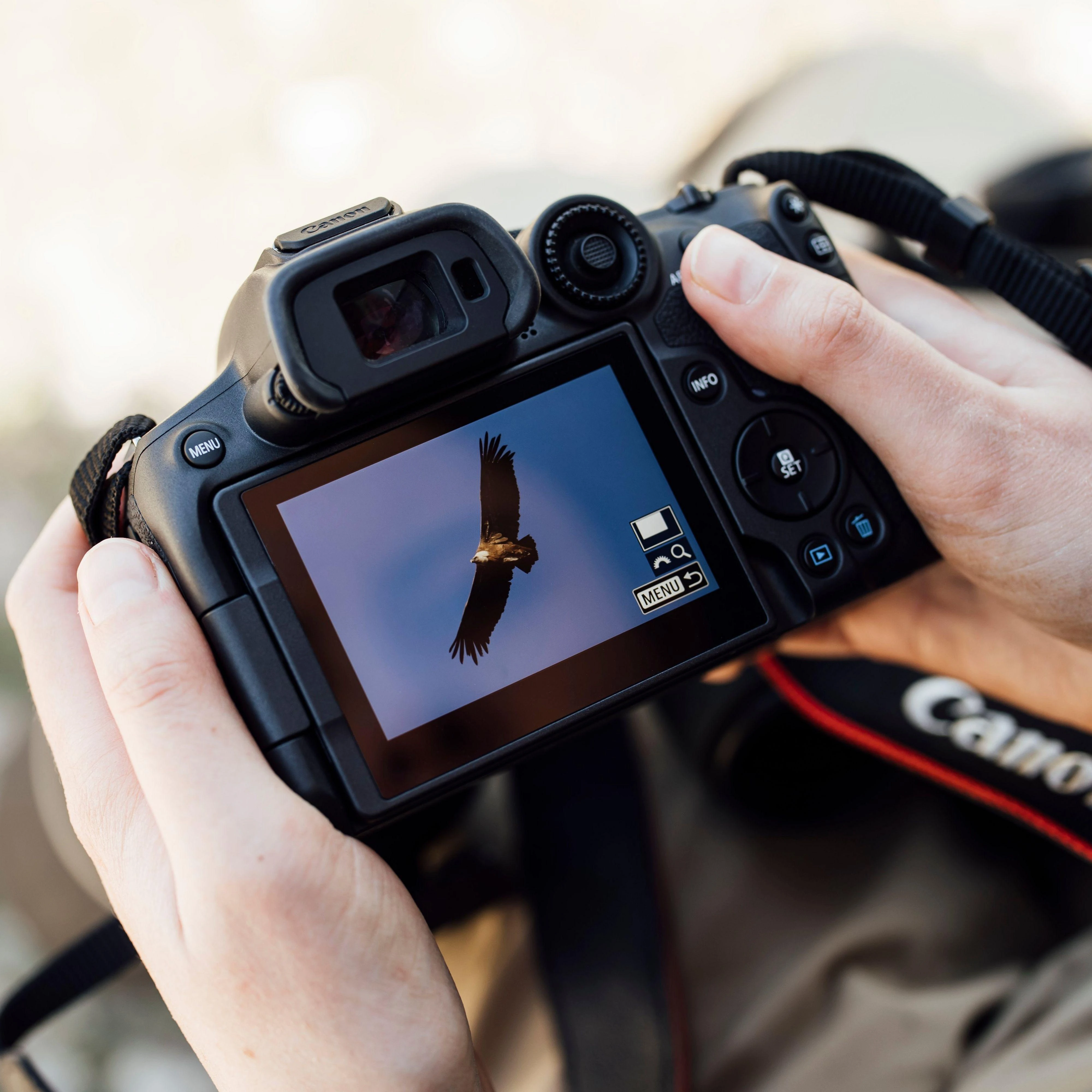 Canon EOS R7 korpusas