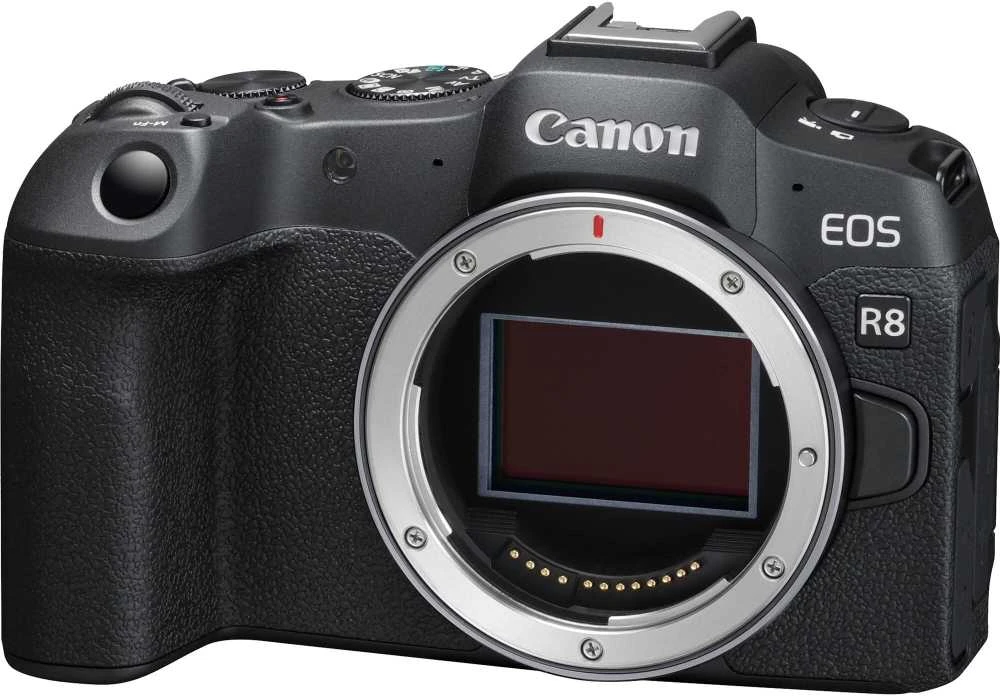 Canon EOS R8 + RF 24-105mm f/4L IS USM + Mount Adapteris EF-EOS R