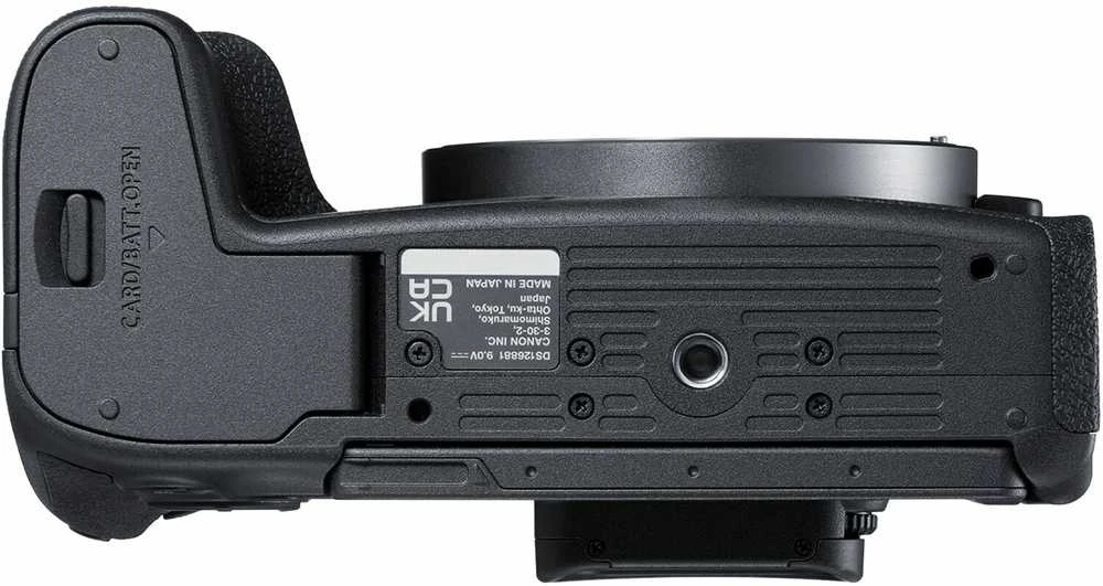 Canon EOS R8 + RF 800mm f/11 IS STM