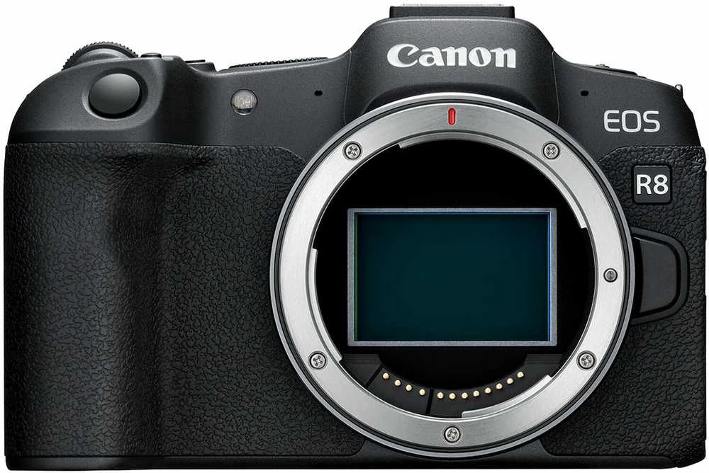 Canon EOS R8 + RF 800mm f/11 IS STM