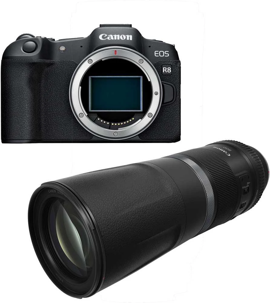 Canon EOS R8 + RF 800mm f/11 IS STM