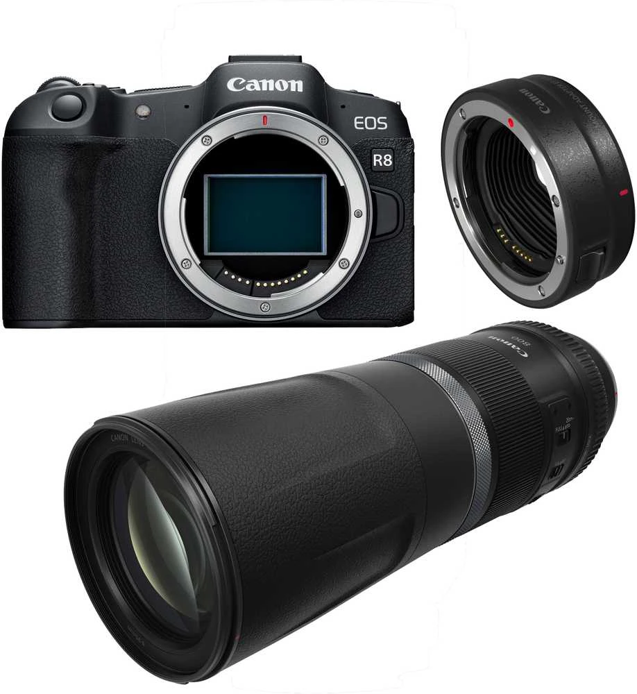 Canon EOS R8 + RF 800mm f/11 IS STM + Mount Adapteris EF-EOS R