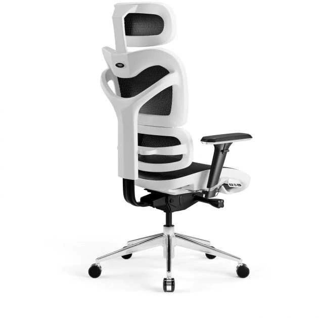 Ergonominė kėdė DIABLO V-COMMANDER, Juodos/ Baltos spalvos