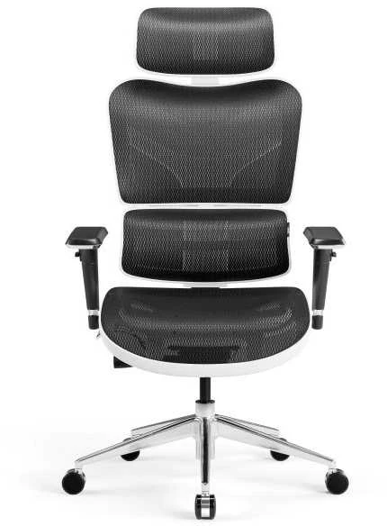 Ergonominė kėdė DIABLO V-COMMANDER, Juodos/ Baltos spalvos