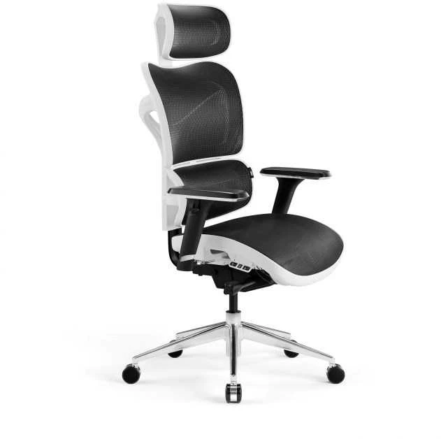 Ergonominė kėdė DIABLO V-COMMANDER, Juodos/ Baltos spalvos