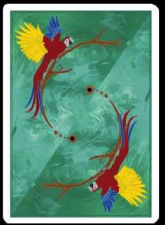 Difatta Infinity Playing Cards Kortos