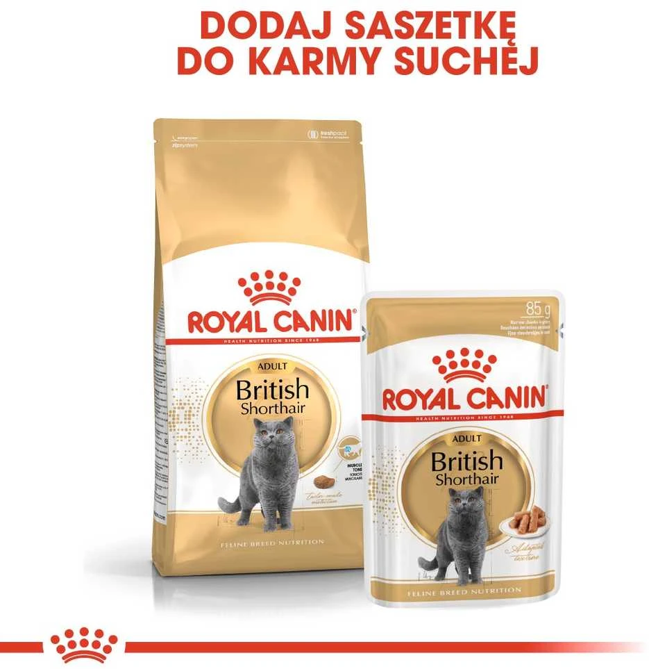 FBN Cat British Short Gravy 12x85 g