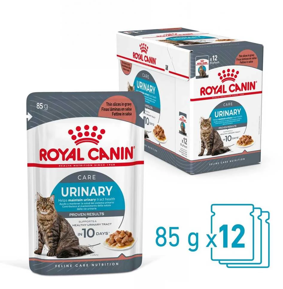Royal Canin FCN Cat Urinary Care padažas 12x85 g