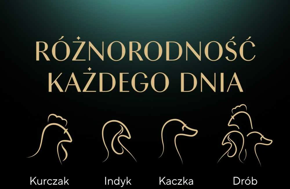SHEBA Nature's Collection paukštienos skonio drebučiuose - paukštiena - suaugusioms katėms - šlapias kačių ėdalas - 40x85